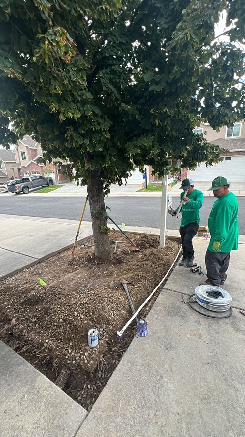 Crew installing irrigation at a tree well