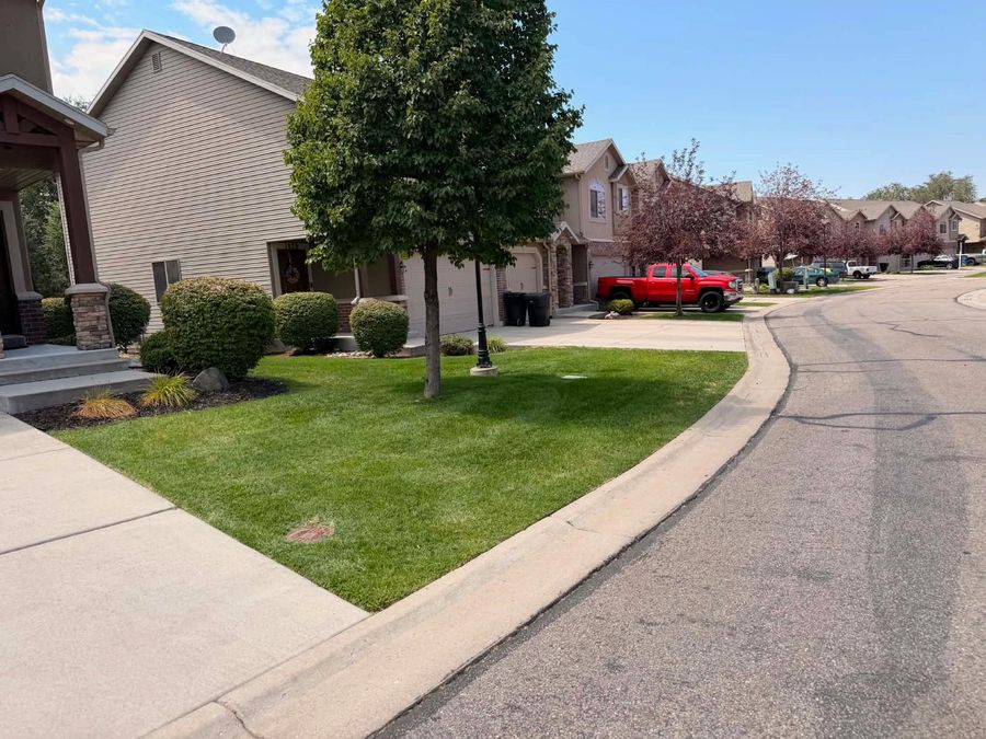 Manicured corner lawn