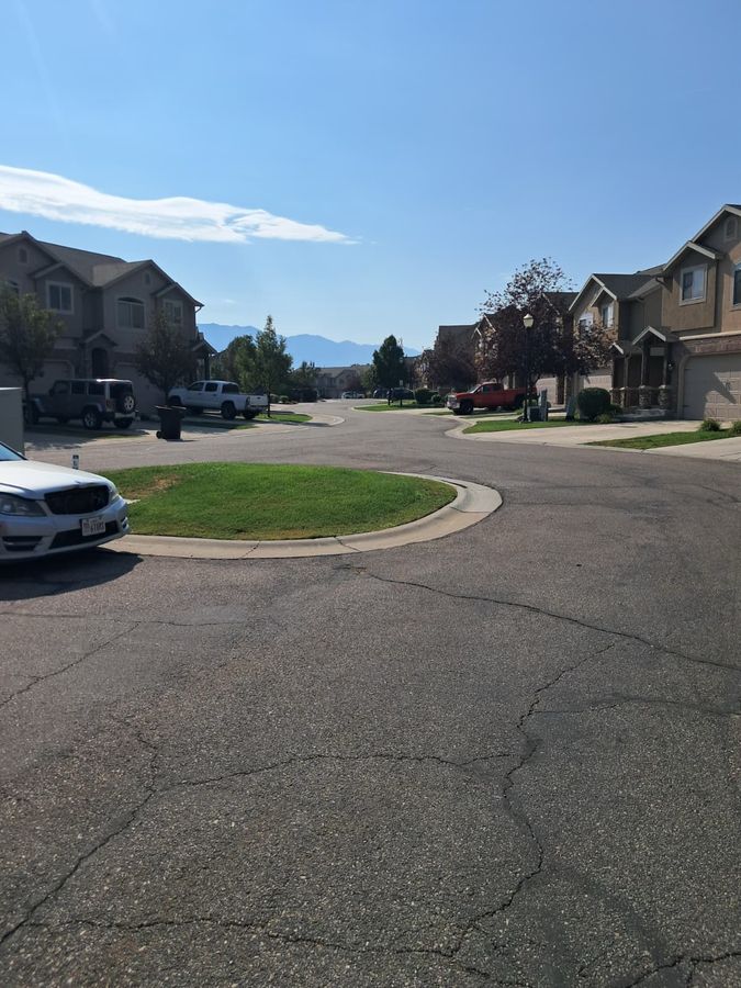 Healthy open lawn