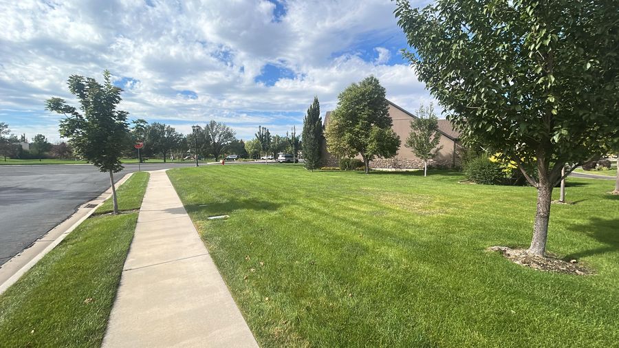 Tree-lined grounds kept green